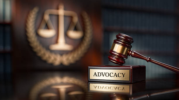 Expert NGT advocates